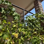 Tatil Evi Casa Mam
